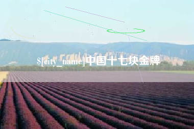 枝江中国十七块金牌