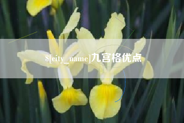 枝江九宫格优点