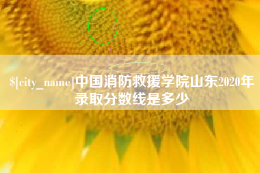 枝江中国消防救援学院山东2020年录取分数线是多少