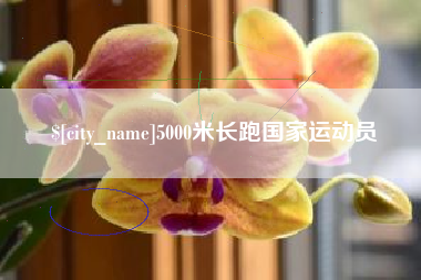 枝江5000米长跑国家运动员
