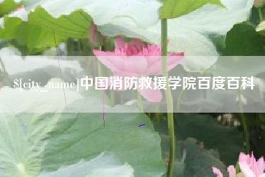 枝江中国消防救援学院百度百科