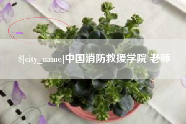 枝江中国消防救援学院 老师