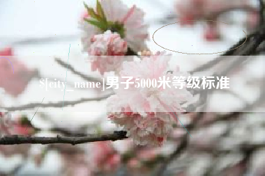 枝江男子5000米等级标准