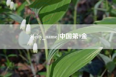 枝江中国第9金