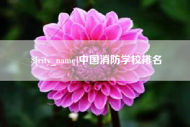 枝江中国消防学校排名