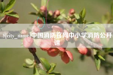 枝江中国消防官网中小学消防公开课