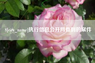 枝江执行信息公开网查到的案件