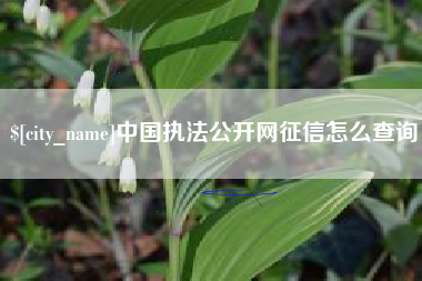 枝江中国执法公开网征信怎么查询
