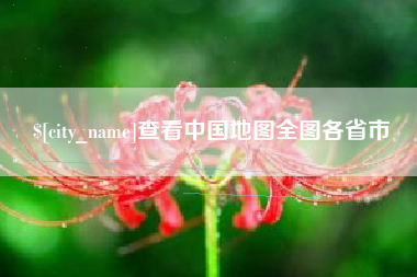 枝江查看中国地图全图各省市