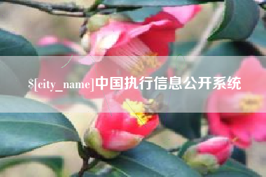 枝江中国执行信息公开系统