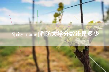 枝江消防大学分数线是多少