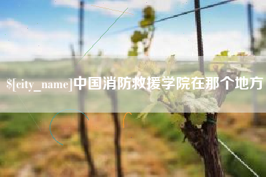 枝江中国消防救援学院在那个地方