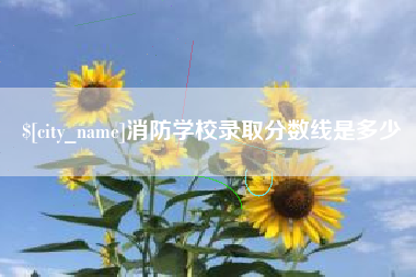 枝江消防学校录取分数线是多少