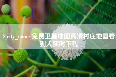 枝江免费卫星地图高清村庄地图看到人实时下载