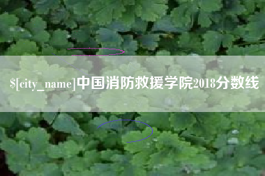 枝江中国消防救援学院2018分数线