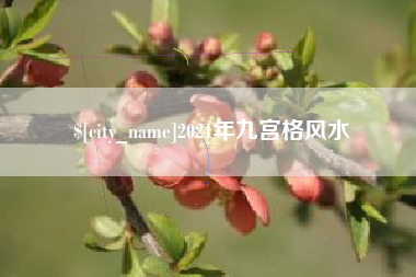 枝江2021年九宫格风水