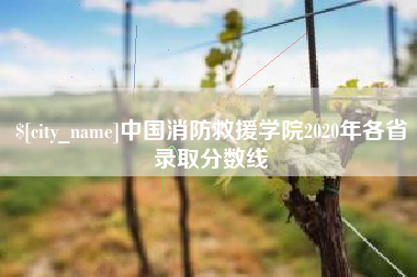 枝江中国消防救援学院2020年各省录取分数线