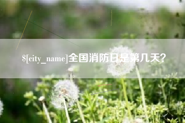 枝江全国消防日是第几天？