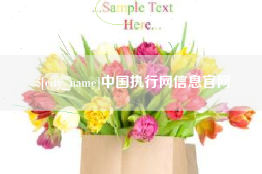 枝江中国执行网信息官网