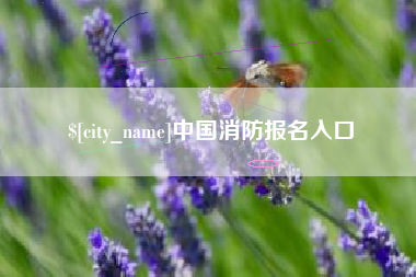 枝江中国消防报名入口