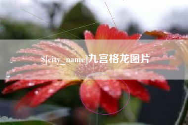 枝江九宫格龙图片