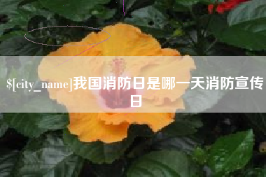 枝江我国消防日是哪一天消防宣传日