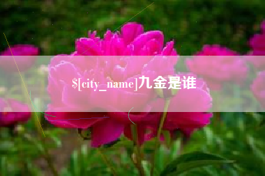 枝江九金是谁