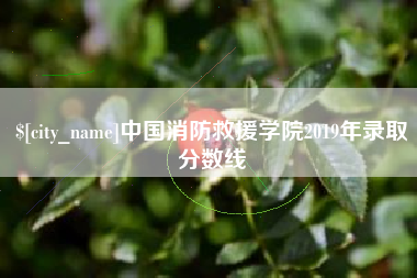 枝江中国消防救援学院2019年录取分数线