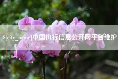 枝江中国执行信息公开网平台维护