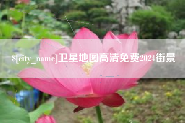 枝江卫星地图高清免费2024街景