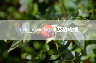 枝江5000米及格成绩