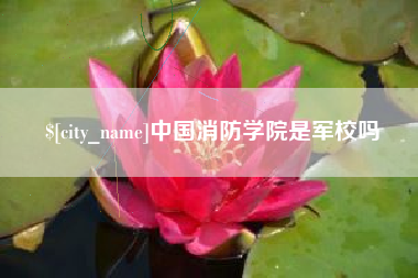 枝江中国消防学院是军校吗