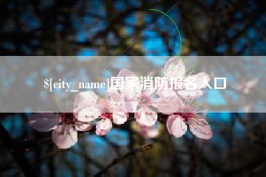 枝江国家消防报名入口