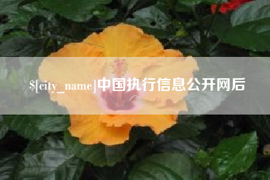 枝江中国执行信息公开网后