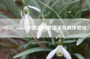 枝江中国消防救援学院具体地址
