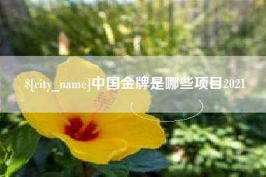 枝江中国金牌是哪些项目2021