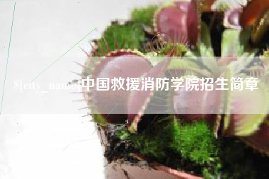 枝江中国救援消防学院招生简章