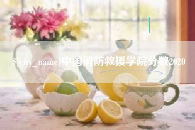 枝江中国消防救援学院分数2020