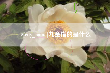 枝江九金指的是什么