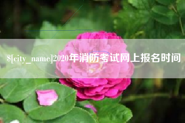 枝江2020年消防考试网上报名时间