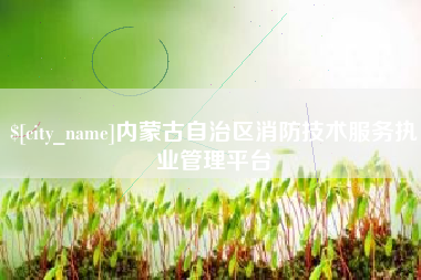枝江内蒙古自治区消防技术服务执业管理平台