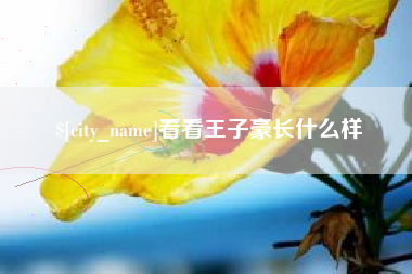 枝江看看王子豪长什么样