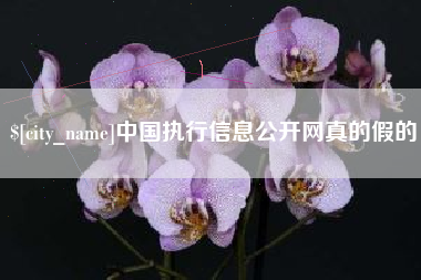 枝江中国执行信息公开网真的假的