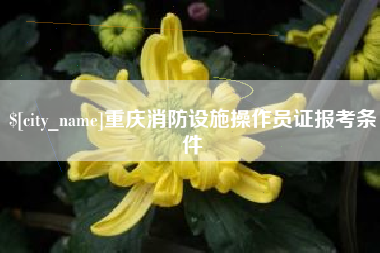 枝江重庆消防设施操作员证报考条件