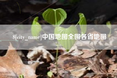 枝江中国地图全图各省地图