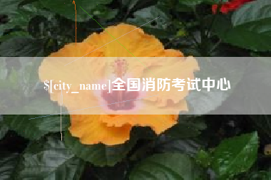 枝江全国消防考试中心