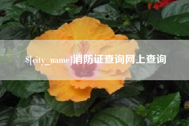 枝江消防证查询网上查询