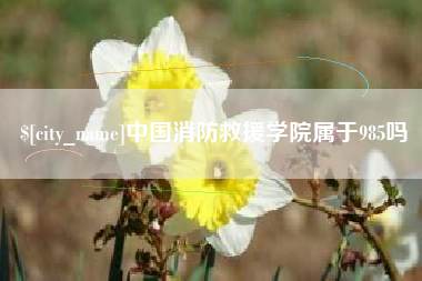 枝江中国消防救援学院属于985吗
