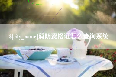 枝江消防资格证怎么查询系统