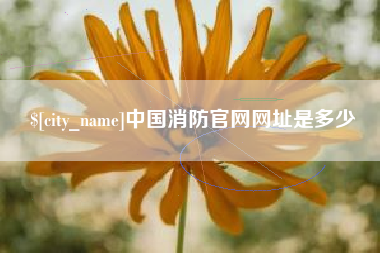 枝江中国消防官网网址是多少